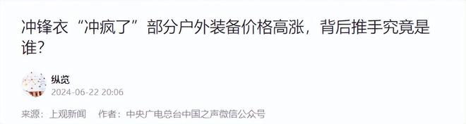 中产圈里最火爆的“假货”终于被戳破了爱游戏ayx网站一年销售超100亿(图4)
