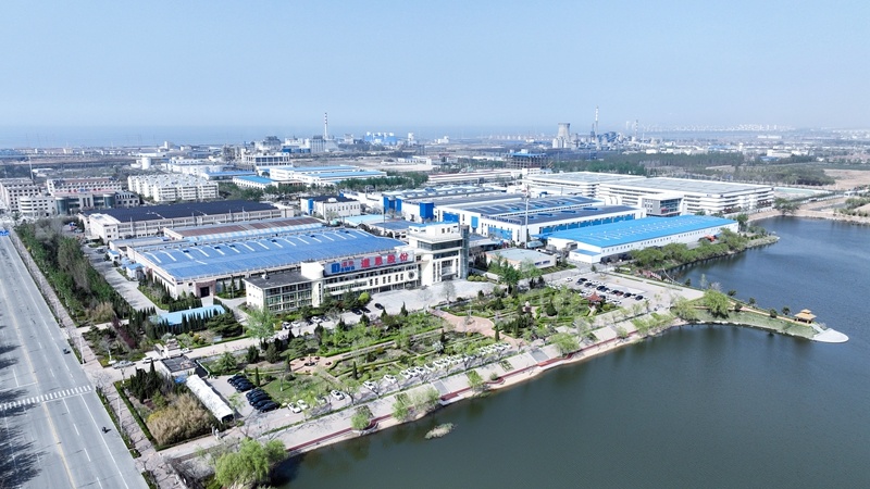 集团打造国际一流高分子新材料企业爱游戏平台小分子聚合大梦想道恩