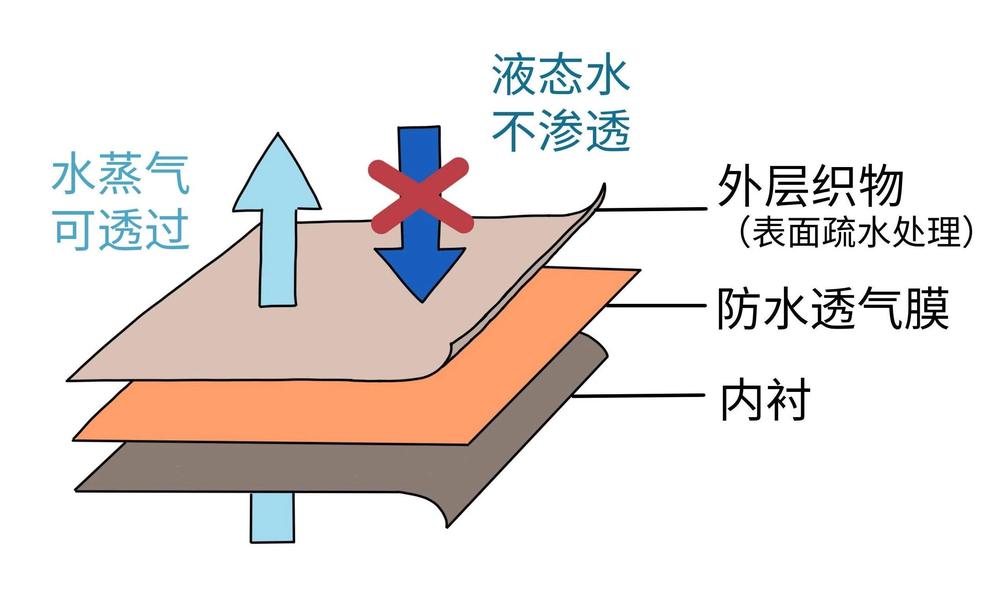 不能机洗吗？方法不对很伤衣服ayx爱游戏app冲锋衣真的(图2)